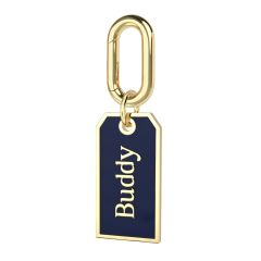 Personalised Enamel Rectangle Brass Pet Name Tag